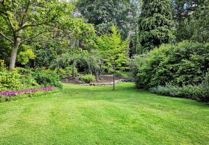 Optimiser l'expérience du jardin à Sainte-Scolasse-sur-Sarthe